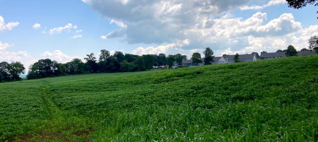 Image of preserved farmland in late spring with houses looming on the horizon.