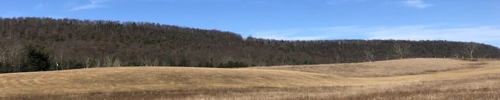 Image is of field of tan grasses in the foreground, with dark green mountain ridge in the background under bright blue sky.